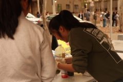 img_5095_54441808837_o-scaled