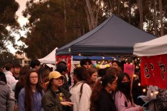 img_5168_54443035675_o-scaled