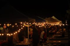 img_5528_54443032990_o-scaled