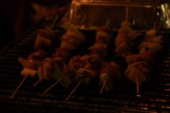 img_5543_54441805337_o-scaled