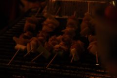 img_5545_54443032770_o-scaled