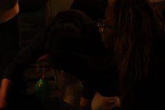 img_5583_54442849334_o-scaled